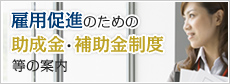 雇用促進のための助成金・補助金制度等の案内